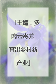 王婧：多肉云寄养 育出乡村新产业