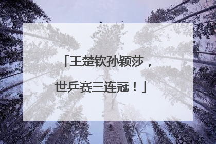 王楚钦孙颖莎，世乒赛三连冠！