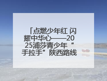 点燃少年红 闪耀中华心——2025浦莎青少年“手拉手”陕西路线丝路续新章