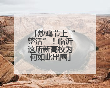 炒鸡节上“整活”！临沂这所新高校为何如此出圈