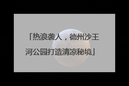 热浪袭人，德州沙王河公园打造清凉秘境