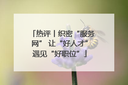 热评丨织密“服务网” 让“好人才”遇见“好职位”