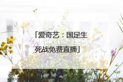 爱奇艺：国足生死战免费直播