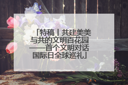 特稿丨共建美美与共的文明百花园——首个文明对话国际日全球巡礼