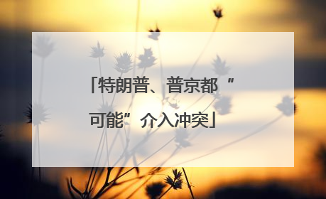 特朗普、普京都“可能”介入冲突