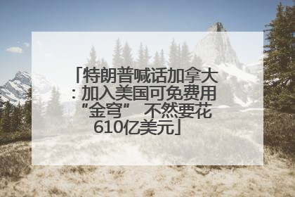 特朗普喊话加拿大：加入美国可免费用“金穹” 不然要花610亿美元
