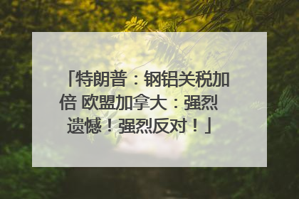 特朗普：钢铝关税加倍 欧盟加拿大：强烈遗憾！强烈反对！
