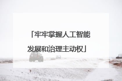 牢牢掌握人工智能发展和治理主动权
