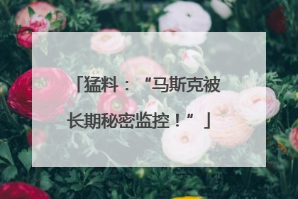 猛料：“马斯克被长期秘密监控！”