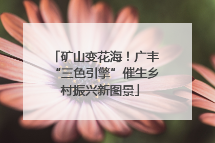 矿山变花海！广丰“三色引擎”催生乡村振兴新图景