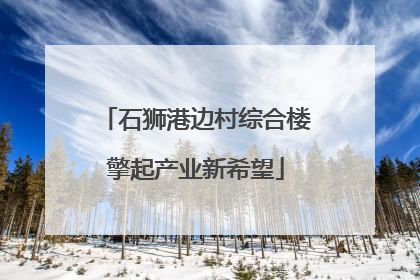 石狮港边村综合楼擎起产业新希望