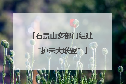 石景山多部门组建“护未大联盟”
