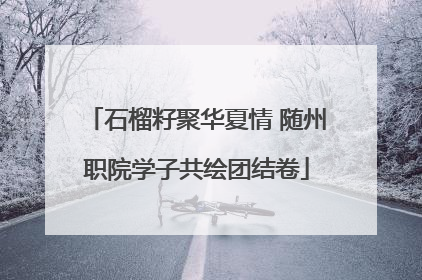 石榴籽聚华夏情 随州职院学子共绘团结卷