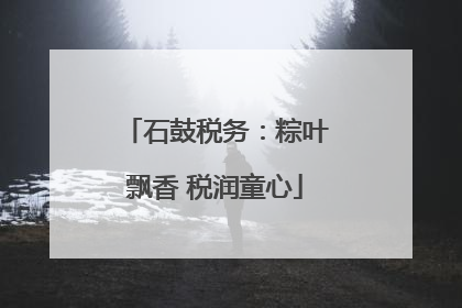 石鼓税务：粽叶飘香 税润童心