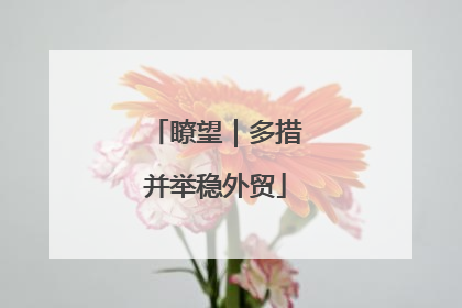 瞭望｜多措并举稳外贸