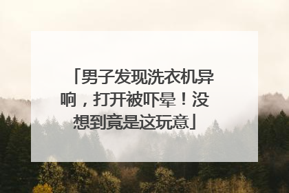 男子发现洗衣机异响，打开被吓晕！没想到竟是这玩意