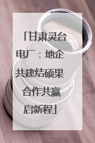 甘肃灵台电厂：地企共建结硕果 合作共赢启新程