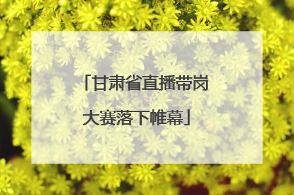 甘肃省直播带岗大赛落下帷幕