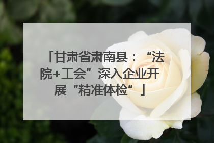甘肃省肃南县：“法院+工会”深入企业开展“精准体检”