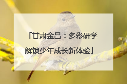 甘肃金昌：多彩研学解锁少年成长新体验
