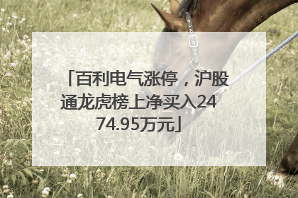 百利电气涨停，沪股通龙虎榜上净买入2474.95万元