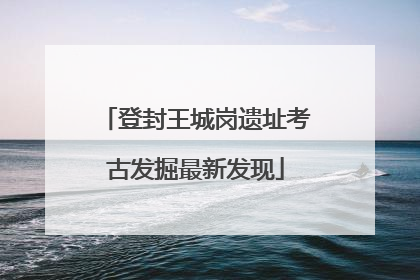 登封王城岗遗址考古发掘最新发现