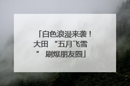 白色浪漫来袭！大田 “五月飞雪” 刷爆朋友圈
