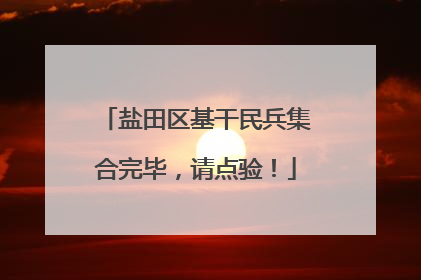 盐田区基干民兵集合完毕，请点验！