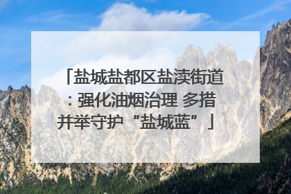 盐城盐都区盐渎街道：强化油烟治理 多措并举守护“盐城蓝”