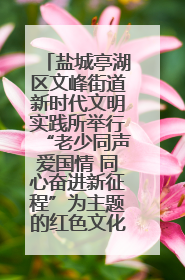 盐城亭湖区文峰街道新时代文明实践所举行“老少同声爱国情 同心奋进新征程”为主题的红色文化活动