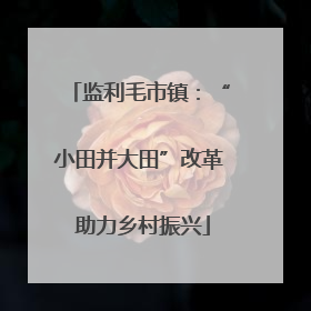 监利毛市镇：“小田并大田”改革 助力乡村振兴