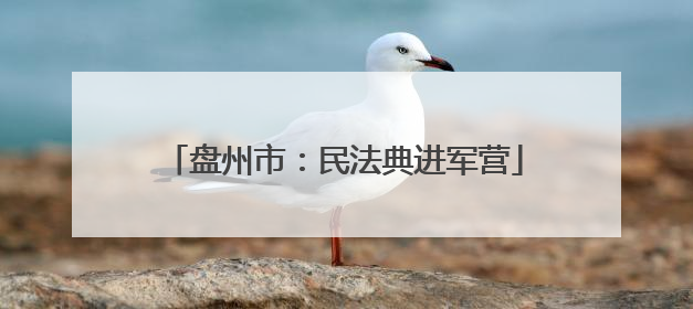 盘州市：民法典进军营