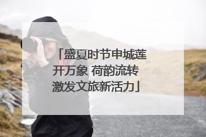 盛夏时节申城莲开万象 荷韵流转激发文旅新活力