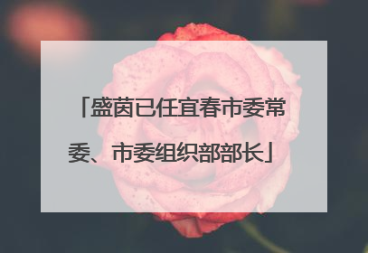 盛茵已任宜春市委常委、市委组织部部长