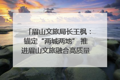 眉山文旅局长王枫：锚定“两城两地” 推进眉山文旅融合高质量发展｜文旅局长说