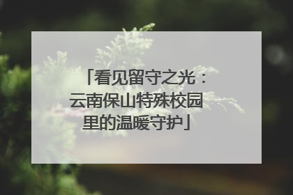 看见留守之光：云南保山特殊校园里的温暖守护