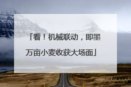 看！机械联动，即墨万亩小麦收获大场面