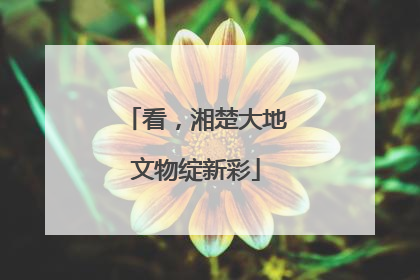 看，湘楚大地文物绽新彩