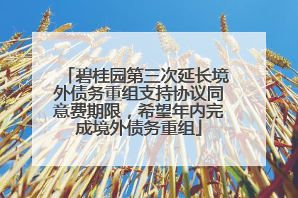 碧桂园第三次延长境外债务重组支持协议同意费期限，希望年内完成境外债务重组