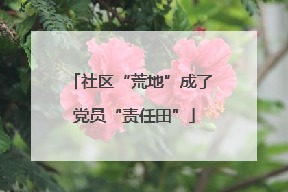 社区“荒地”成了党员“责任田”