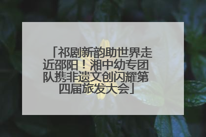 祁剧新韵助世界走近邵阳！湘中幼专团队携非遗文创闪耀第四届旅发大会