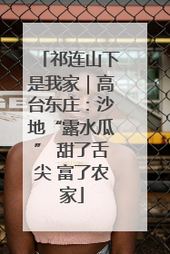 祁连山下是我家｜高台东庄：沙地“露水瓜” 甜了舌尖 富了农家