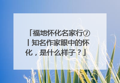 福地怀化名家行⑦丨知名作家眼中的怀化，是什么样子？