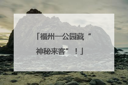 福州一公园藏“神秘来客”！