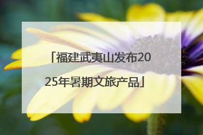 福建武夷山发布2025年暑期文旅产品