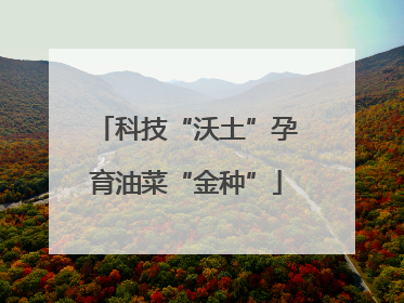 科技“沃土”孕育油菜“金种”