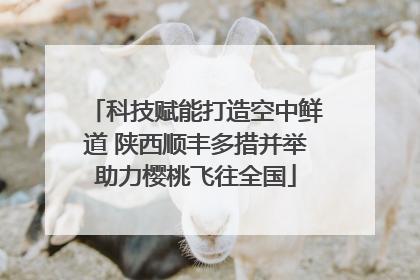 科技赋能打造空中鲜道 陕西顺丰多措并举助力樱桃飞往全国