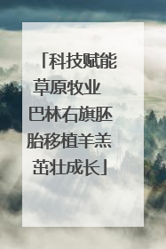 科技赋能草原牧业 巴林右旗胚胎移植羊羔茁壮成长