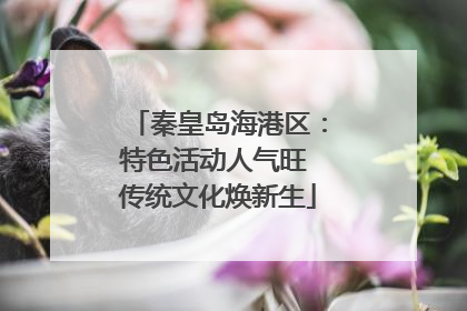 秦皇岛海港区：特色活动人气旺 传统文化焕新生
