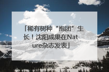 稀有树种“抱团”生长！沈阳成果在Nature杂志发表